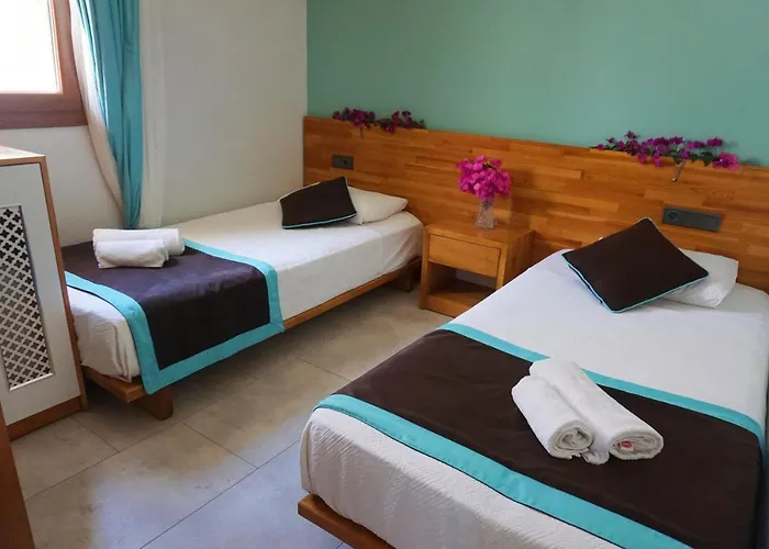 酒店 科巴诺格鲁酒店 卡斯